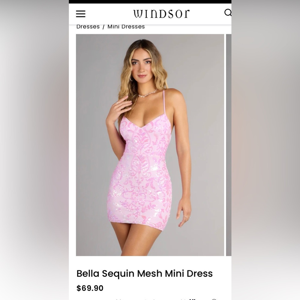 Windsor Bella Sequin Mesh Mini Light Dress (Brand new!)